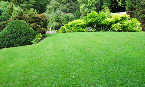 Turfing Birmingham